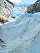 The ice stream
