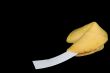Fortune Cookie