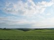 meadow landscape