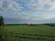 summer meadow