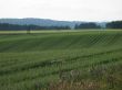 countryside landscape