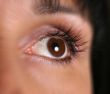 Brown eye
