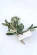 branch with white label