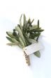 branch with white label