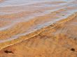 Water, sand, waves