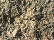 relief granite texture