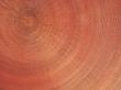 Wooden cupola