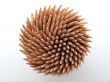 Hedgehog