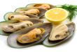 New Zealand green mussels
