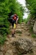 hiker
