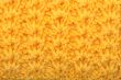 Pattern from a wool
