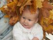 autumn beauty