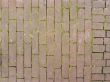 pattern of bricks and grass