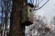 Bird box