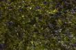 Dry seaweed for sushi