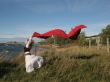 to fly
