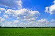 rural landscape