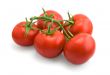 ripe tomatoes