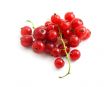 red currant