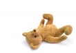 laying bear