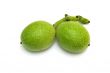 two walnuts