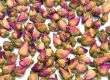 dried roses buds