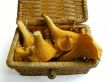 Orange mushrooms (Cantharellus cibarius) in basket