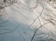 winter`s picture