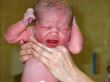 baby in hands