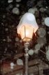 light at snowfall