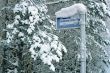 winter bus