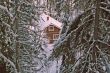 forest house