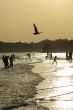 Silhouettes on the beach