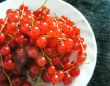 Berries of red currant