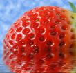 Strawberry in water