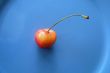 Cherry  on blue plate
