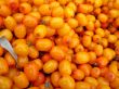 Hippophae rhamnoides berries