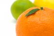 tangerine`s leaf