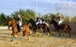 Horseball  team sport