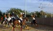 Horseball  team sport