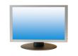  Wide Screen LCD Monitor