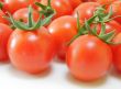 Fresh Tomatoes