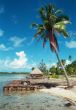 Beach Front in Bora Bora