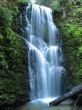 Berry Creek Falls