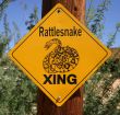 Snake Warning Sign in Desert