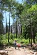 Hiking in Yosemite National Park