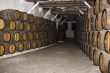 wine cellar