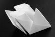 Paper steamship