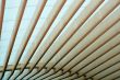 glass ceiling