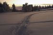 across the snow field